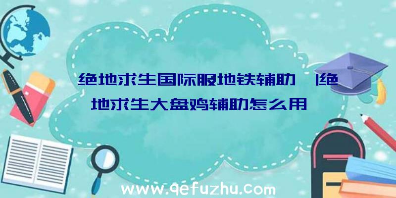 「绝地求生国际服地铁辅助」|绝地求生大盘鸡辅助怎么用